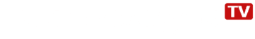 Wildcard Là Gì - fotaine
